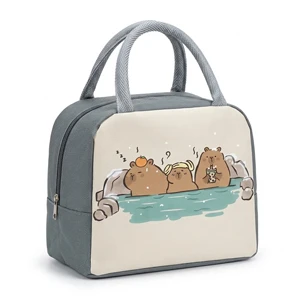 Kids’ Cartoon-Themed Insulated Thermal Lunch Bag, with Aluminum Inner Layer for School, Picnics and Travel, Grey (D0-1)